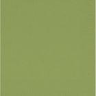 NAPKINS 2-PLY 33X33CM LEAF GREEN product photo