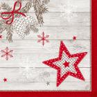 Duni 209950 Dunilin napkin, Cozy Winter, 40x40cm, 1/4, 5x45 pcs/pkg product photo