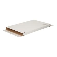 BRIEVENBUSDOOS 350X250X28MM A4+ WIT E GOLF + PLAK- EN TEARSTRIP Productfoto