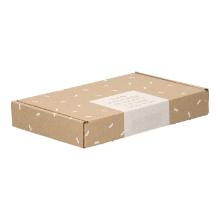 BRIEVENBUSDOOS 180X115X28MM A6 HAPPY E GOLF FEFCO 0427 #2 Productfoto