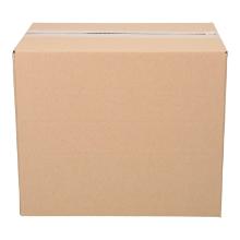 DOOS 585X385X372MM BC GOLF BEDRUKT #2 Productfoto