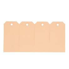 LABEL KARTON BRUIN 60X120MM VERSTERKT Productfoto