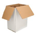 DOOS 6 FLES 285X188X360MM WIT EB GOLF BEDRUKT #2 Productfoto