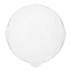 DEKSEL SCHAAL APET ROND 260X19MM TRANSPARANT TBV SCHAAL APET 260MM ZWART Productfoto