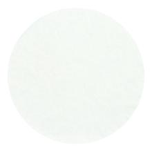 Coffee basket &Oslash; 244 mm x 100 mm white B10 product photo