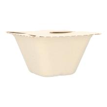 Sugarcane Menue box 125 mm x 125 mm x 70 mm undivided 500 ml champagner product photo