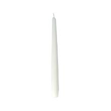 Spitzkerze 245 mm x 22 mm champagner 7,5Std Produktbild