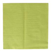 Napkin 40 cm x 40 cm 4-ply 1/4 fold kiwi product photo