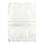 Polybag 300 mm x 400 mm blocked 20my transparent PrimeSource product photo