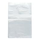Polybag 250 mm x 350 mm blocked 20my transparent PrimeSource product photo