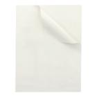 Tray-Sheets 40 cm x 30 cm white llupaper 10kg product photo