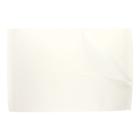 Artificial parchment paper 50 cm x 75 cm 1/2 sheet (50g) white 12.5kg product photo