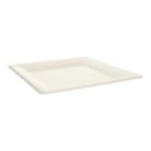 Sugarcane plate 26.2 cm x 26.2 cm x 2 cm undivided white PrimeSource BeGreen product photo