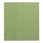 Folded Towels recycled 25 cm x 23 cm 2-ply zickzack green H3 Tork Advanced product photo