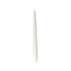 Spitzkerze 245 mm x 22 mm champagner 7,5Std Produktbild