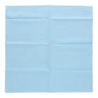 TASKI Microcare 40 cm x 40 cm blau - Mikrofasertuch Produktbild