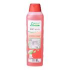 Sanet ecostar 5L sanitary cleaner UN3265LQ-8 product photo