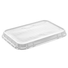 Plastlåg K5294-1 301x200x25 mm APET Klar til C2294 bakkerne product photo