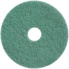 Rondel twister til Gulvvasker TASKI swingo 250µicro 9 tommer 20x225mm 2 stk grøn product photo