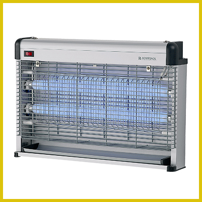 INTERSHOP-ASS1INTERSHOP0524