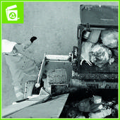 INTERSHOP-ASS1INTERSHOP07