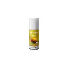 Spray désodorisant Refill 100 ml Parfum Summer fruits Identity Air Freshener photo du produit