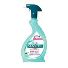Désinfectant toutes surfaces Eucalyptus Spray 500 ml Sanytol BE2021-0014-02-01 photo du produit