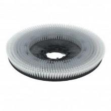 TTA-606550 : nyloscrub shampoonerborstel - 550 mm - voor schrobzuigmachine 55 cm artikelfoto