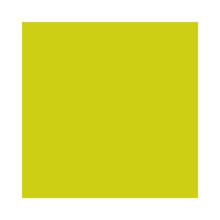 Serviette : 2 plis - 40 x 40 cm - kiwi - 1250 pc photo du produit