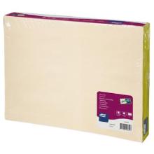 Placemat : ivoor - 30 x 42 cm - 500 st artikelfoto
