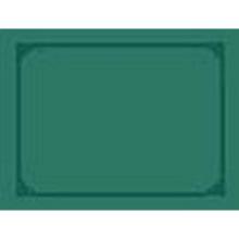 Set de table : vert sapin - 30 x 42 cm - 500 pc photo du produit