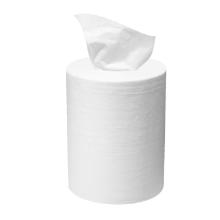 Bobine mini cellulose dévidage central gaufré 1 pli 120m x 20cm 12 rol Type M1 photo du produit
