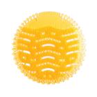 Grille d&eacute;sodorisante pour urinoir parfum mangue photo du produit