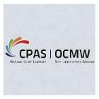 Tapis recycl&eacute; personnalis&eacute; CPAS OCMW WSL 198 x 168 cm Colorstar photo du produit