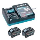 Powerpack met enkele lader en 2 x 40V 5Ah batterijen artikelfoto