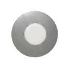 Plateau porte-disque 410 mm pour monobrosse Omni photo du produit