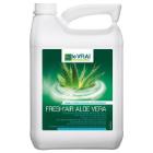 Odorisant concentr&eacute; sols et surfaces Parfum Aloe 5 l Le Vrai Freshair Aloe Vera photo du produit