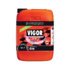 Industri&euml;le reiniger met amoniak 10 l Vigor artikelfoto