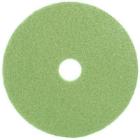 `TOPLINE GROEN-3M`:SCHROBB.& SPRAY(150-1500t/m) 14" [GREORA14] artikelfoto