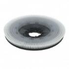 TTA-606550 : nyloscrub shampoonerborstel - 550 mm - voor schrobzuigmachine 55 cm artikelfoto