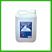 INTERSHOP-ASS1ItemGroup020212