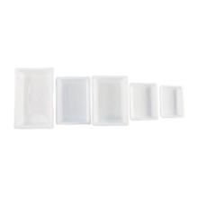 PLATEAU AUTOCLAVABLE EN POLYPROPYLENE BLANC 208X146X35MM (420) photo du produit