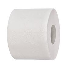 PAPIER TOILETTE EVI SUPER TISSUE BLANC 2PLIS 9.5X11CM 400CPS (10X4) photo du produit