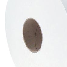 PAPIER TOILETTE EVI TISSUE BLANC JUMBO 2PLIS 9.1CMX380M 1085CPS (6) photo du produit