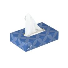 FACIAL TISSUE SCOTT MINI FACIAL BLANC 2PLIS 18.6X17.3 CM (78X76) photo du produit