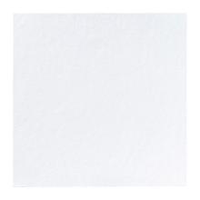 SERVIETTE DUNI PAP. BLANC 40X40CM 3PLIS 1/4 (8X125) photo du produit