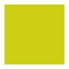 SERVIETTE DUNI PAP. CLASSIC EMBOSSED KIWI 40X40 4PLIS 1/4 (6X50) photo du produit