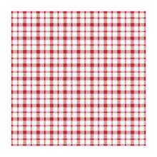 SERVIETTE DUNI PAP. GIOVANNI 33X33CM 1/4 3PLIS (4X250) photo du produit
