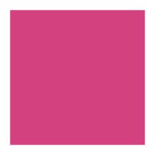 SERVIETTE DUNI PAP. FUCHSIA 24X24CM 3PLIS 1/4 (8X250) photo du produit