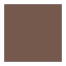 SERVIETTE DUNI PAP. CHESTNUT 33X33CM 2PLIS 1/4 (16X125) photo du produit